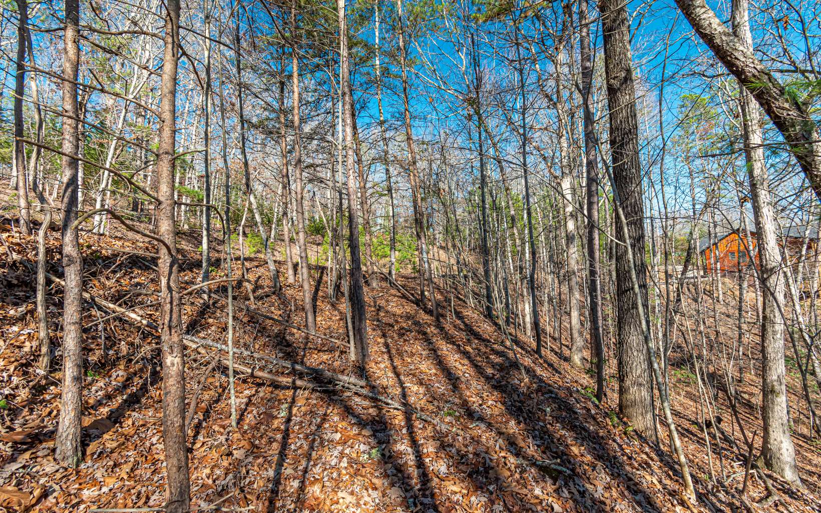 1.23 A Echo Road Morganton, GA 30560 - Photo 44 of 49 Additional View