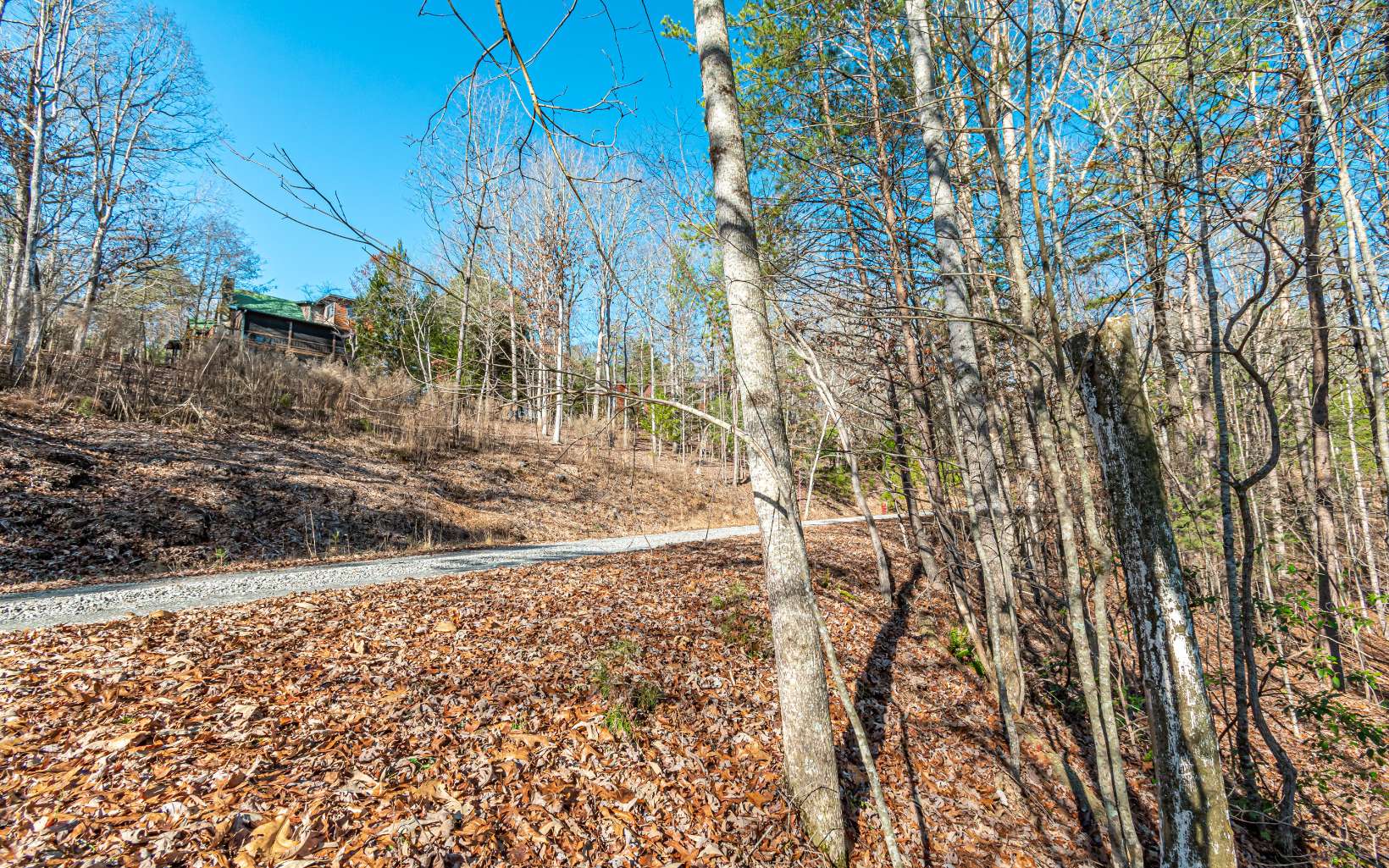 1.23 A Echo Road Morganton, GA 30560 - Photo 45 of 49 Additional View