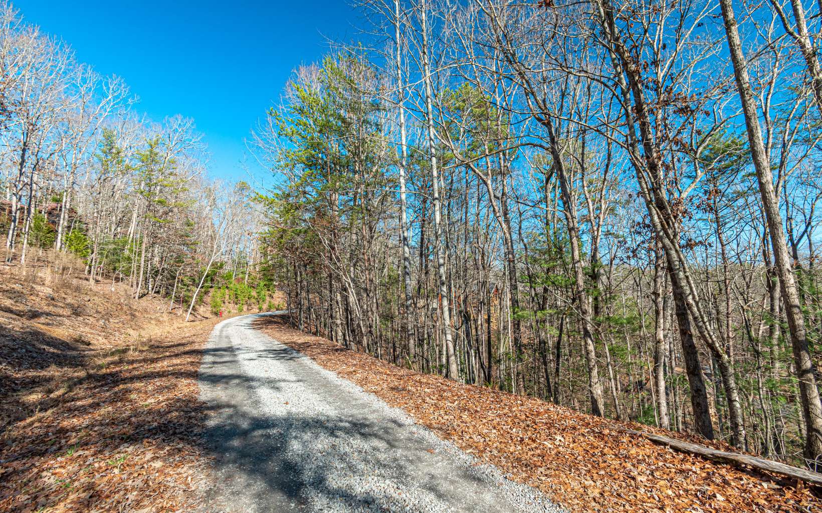 1.23 A Echo Road Morganton, GA 30560 - Photo 46 of 49 Additional View