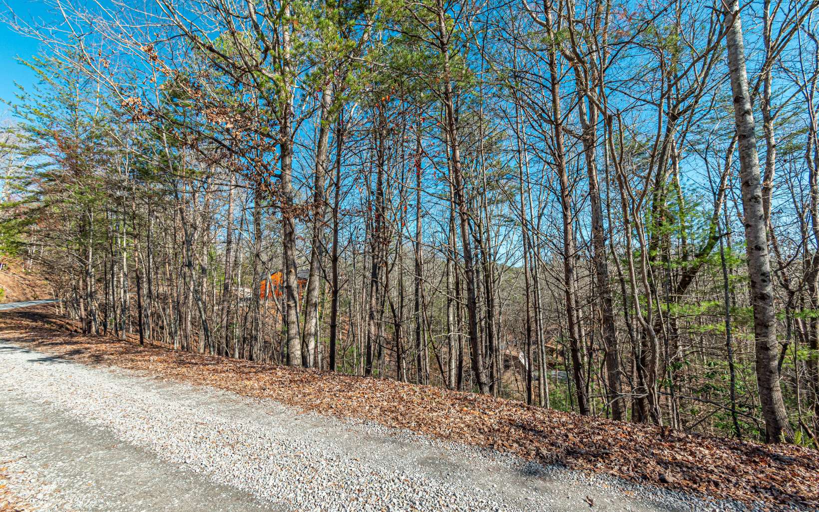 1.23 A Echo Road Morganton, GA 30560 - Photo 5 of 49 Additional View