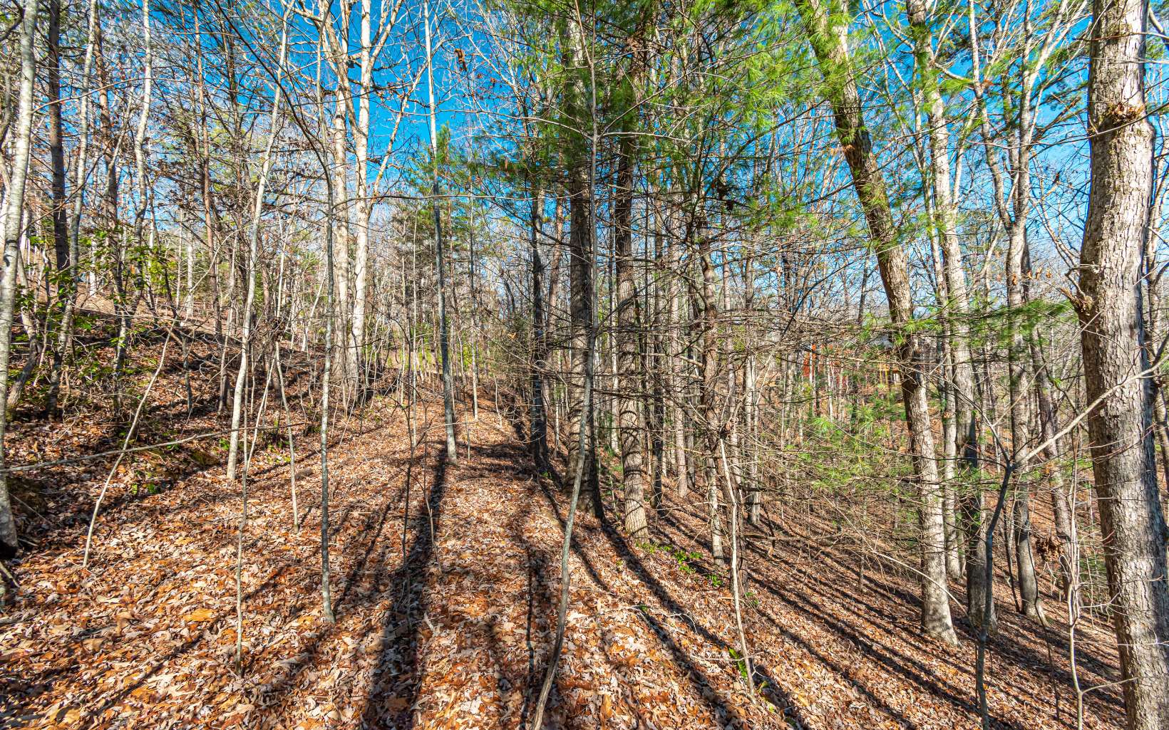 1.23 A Echo Road Morganton, GA 30560 - Photo 6 of 49 Additional View