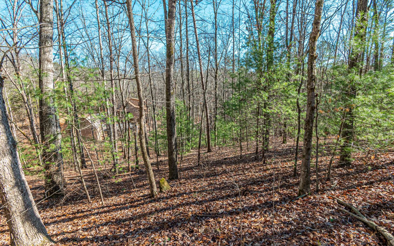 1.23 A Echo Road Morganton, GA 30560 - Photo 7 of 49 Additional View
