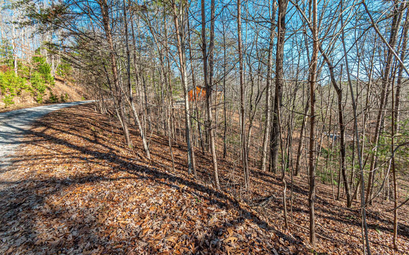 1.23 A Echo Road Morganton, GA 30560 - Photo 8 of 49 Additional View