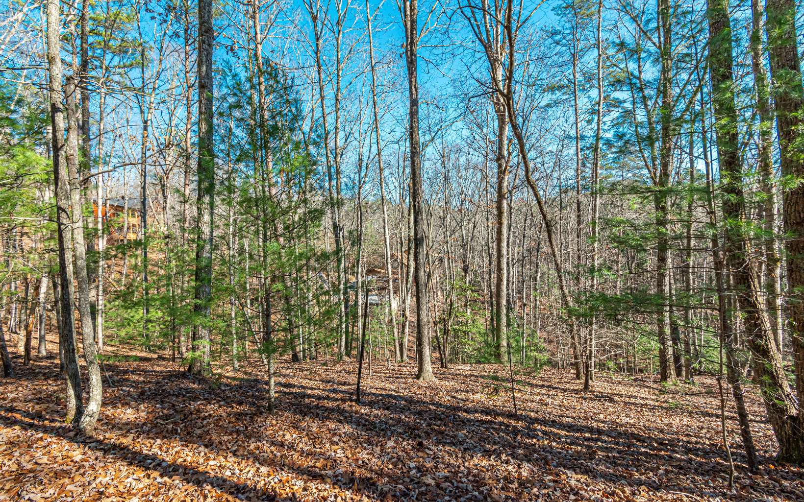 1.23 A Echo Road Morganton, GA 30560 - Photo 10 of 49 Additional View