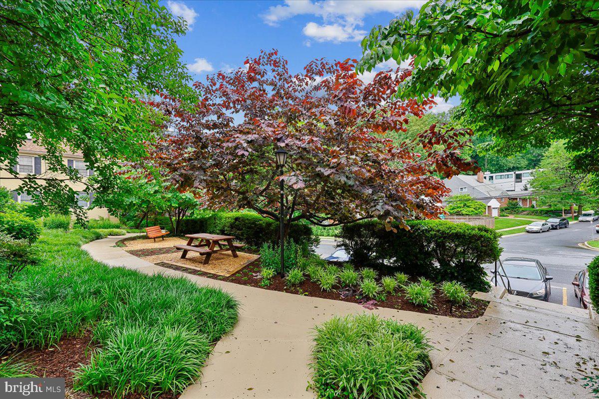 8205 Grubb Road, Unit 101 Silver Spring, MD 20910 - Photo 21 of 25