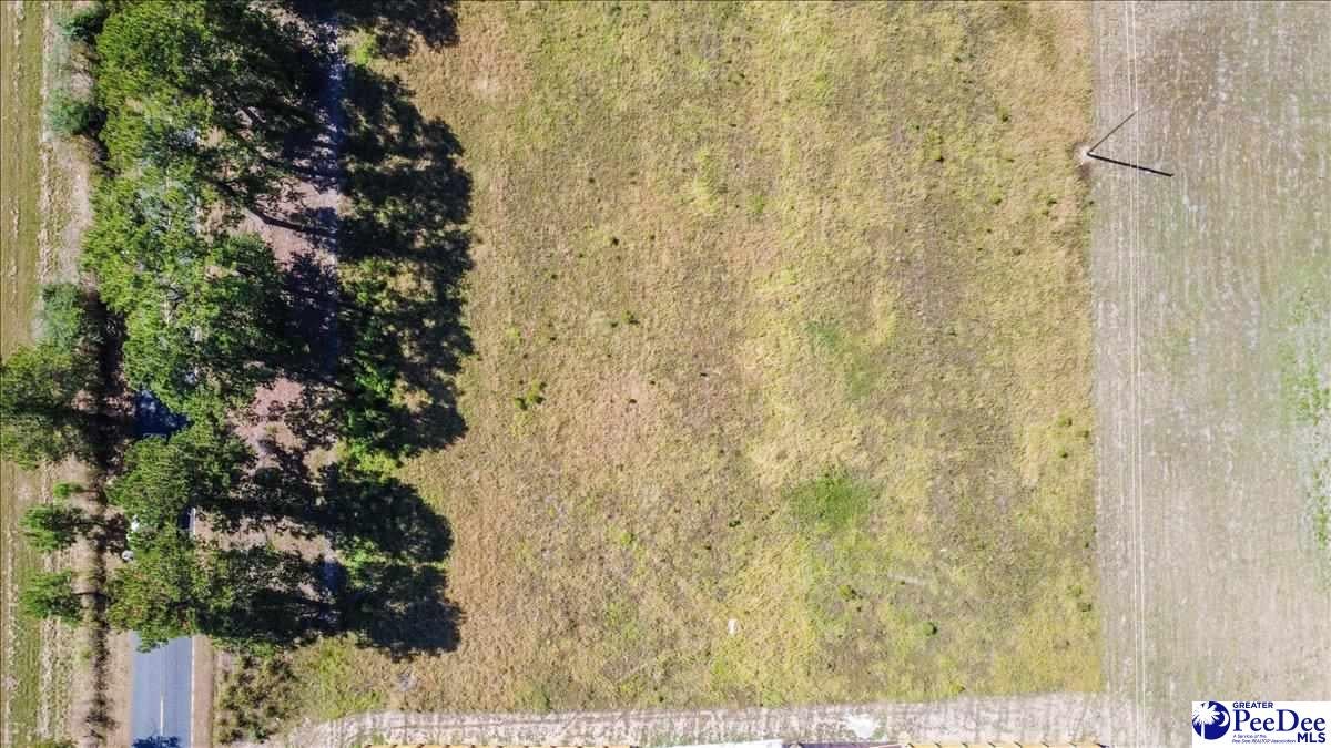 Tbd Tbd Southern Aire Road, Unit 12 Timmonsville, SC 29161 - Photo 14 of 21 Gallery Image 14
