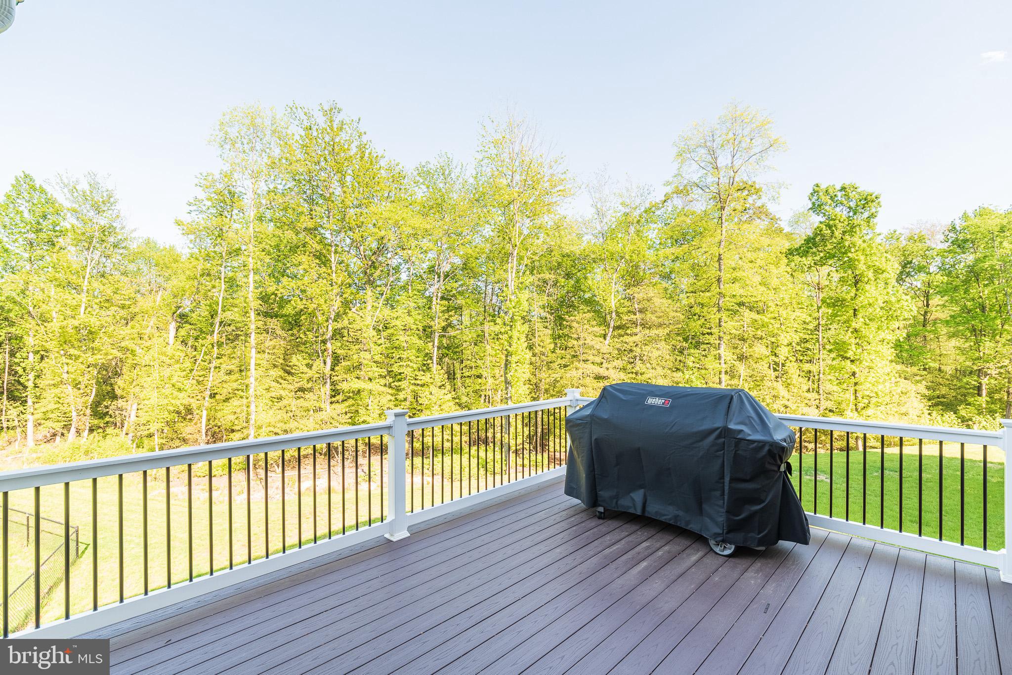 914 Ramble Run Road Baltimore, MD 21220 - Photo 45 of 51 New Maintenance-free deck