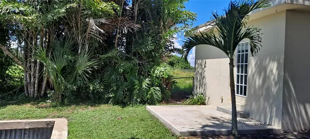 a view of backyard with garden