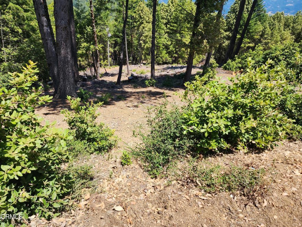 4350 Cahto Peak Road Laytonville, CA 95417 - Photo 2 of 7 20230630_132636