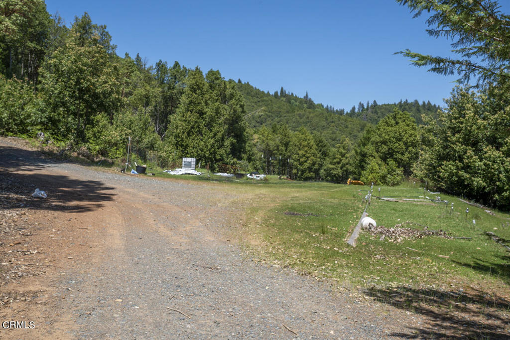 4350 Cahto Peak Road Laytonville, CA 95417 - Photo 6 of 7 DSC07239