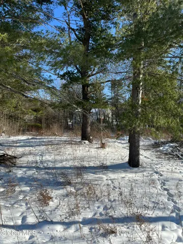 $59,000 | L1 Griffin Avenue, Hoosick Falls, NY 12090