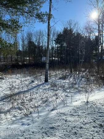 $54,900 | L1 Griffin Avenue, Hoosick Falls, NY 12090