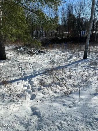 $54,900 | L1 Griffin Avenue, Hoosick Falls, NY 12090