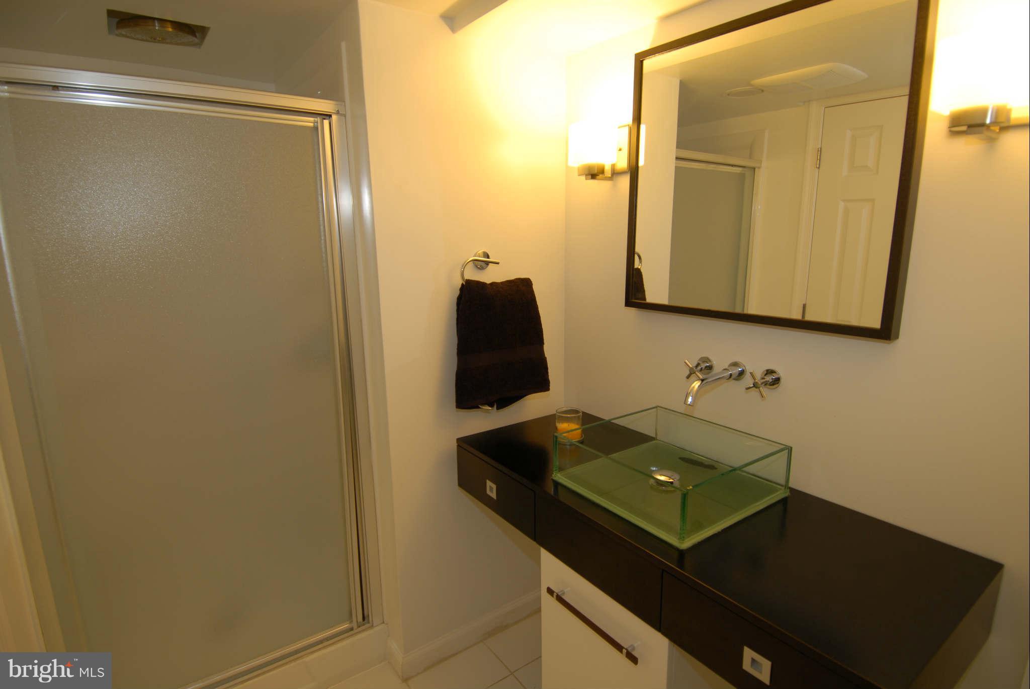 4406 Jones Bridge Road Bethesda, MD 20814 - Photo 18 of 21 Bath