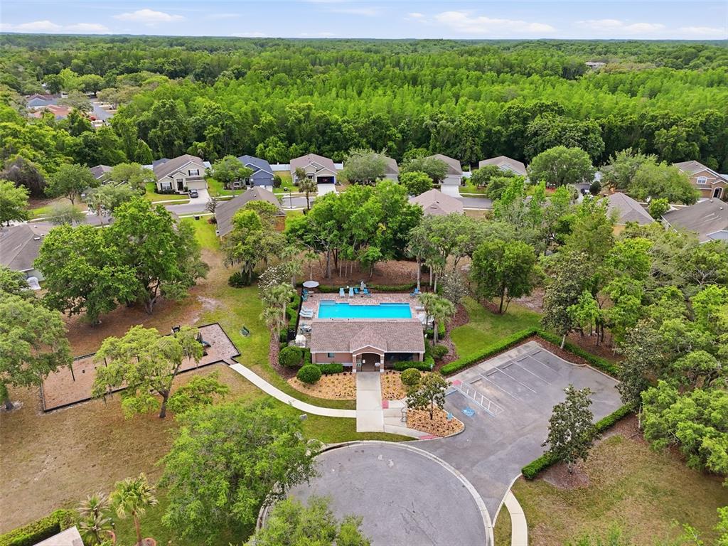 12005 Infinity Drive New Port Richey, FL 34654 - Photo 45 of 48 an aerial view of a house with a yard and lake view