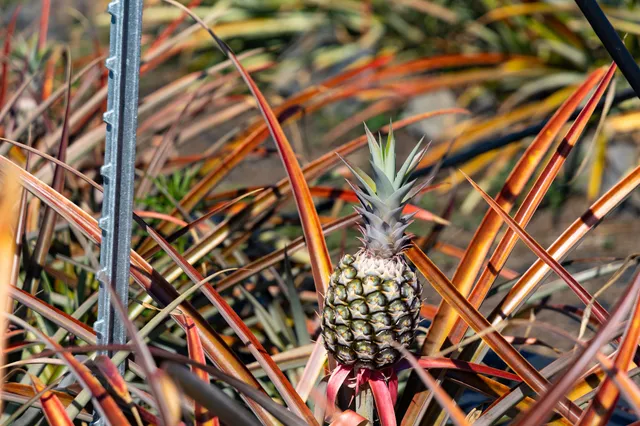 a backyard view of a building