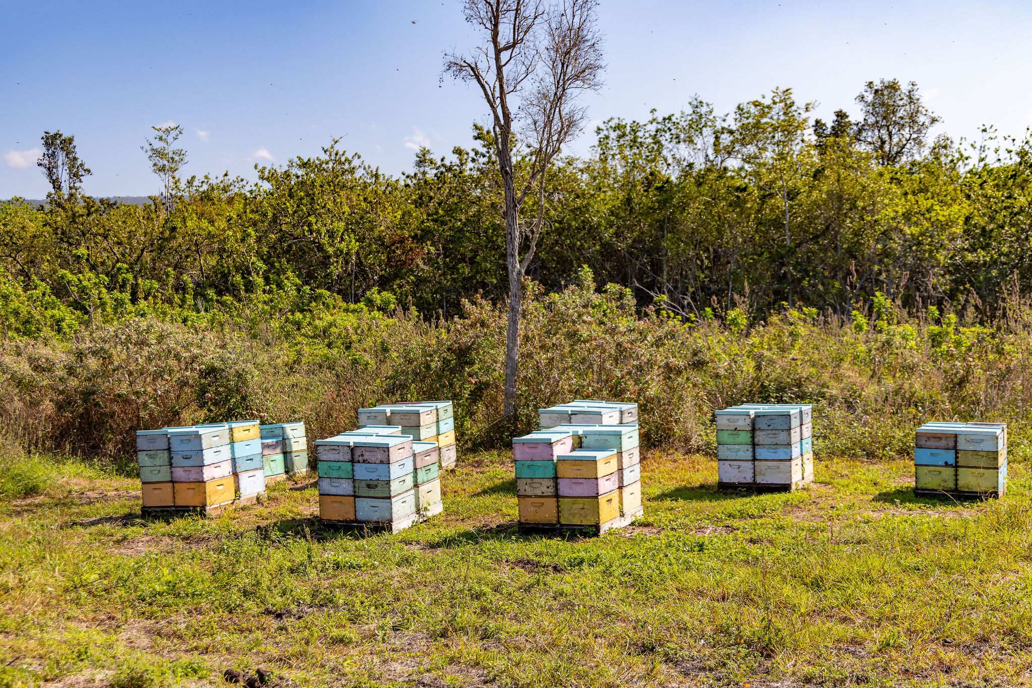 89-830 Lot 12 Pohulai Road Captain Cook, HI 96704 - Photo 15 of 21 an aerial view of a house with a yard
