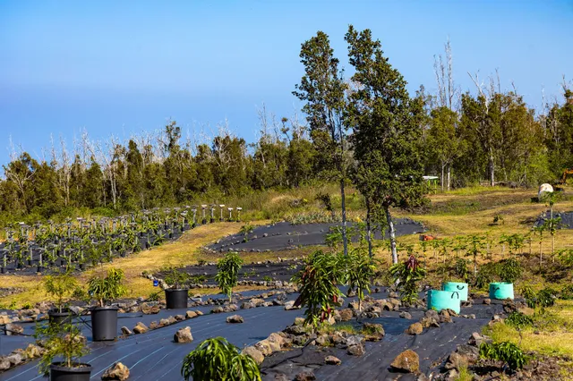 a view of a beach with a yard