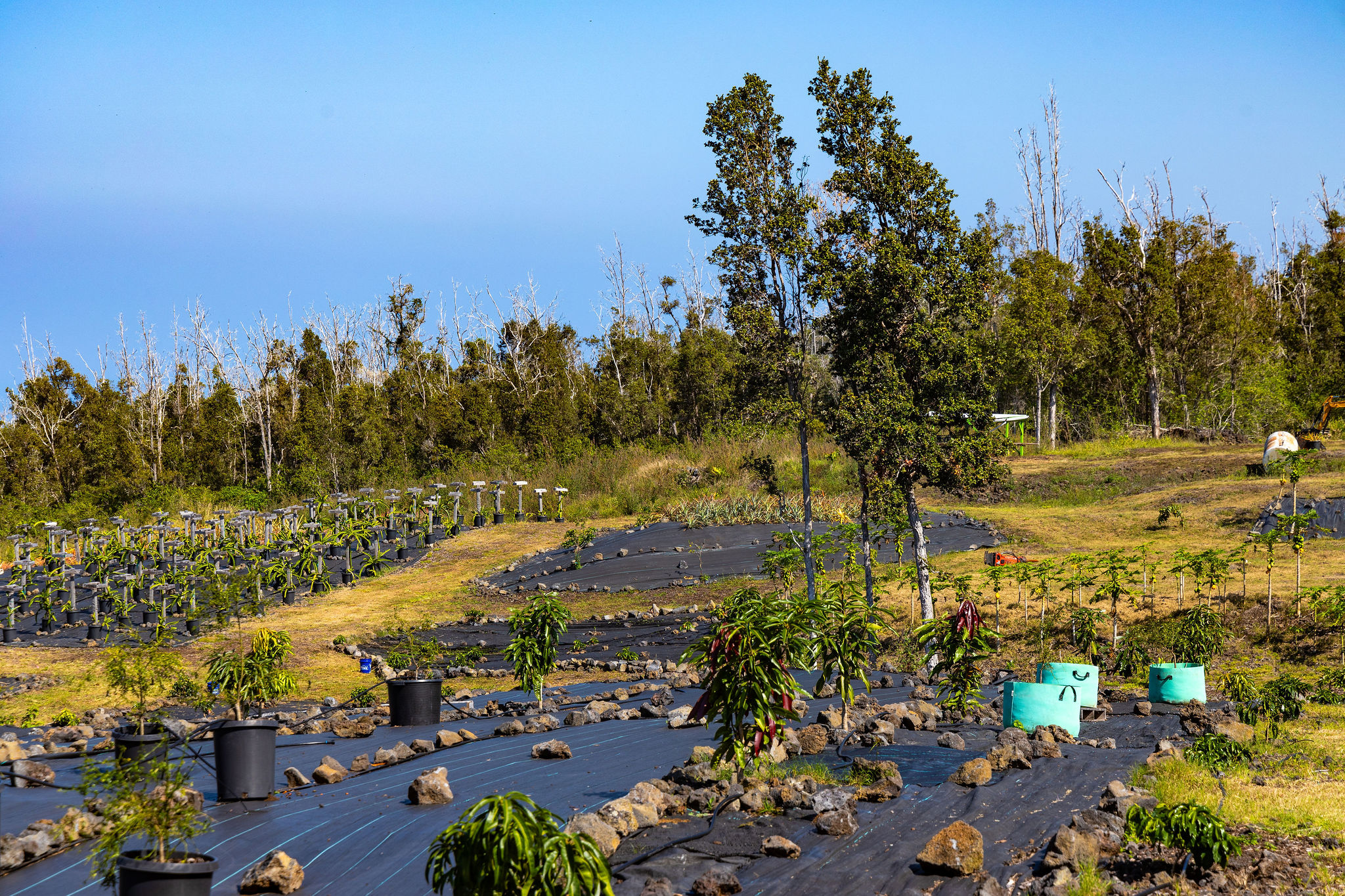 89-830 Lot 12 Pohulai Road Captain Cook, HI 96704 - Photo 17 of 21 an aerial view of a city with lots of residential buildings