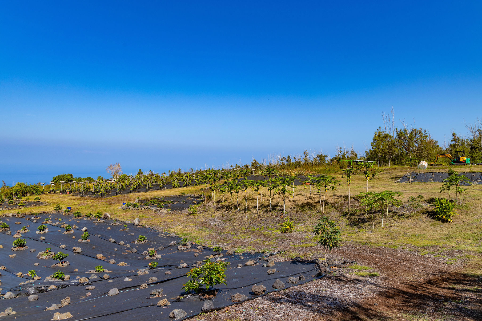 89-830 Lot 12 Pohulai Road Captain Cook, HI 96704 - Photo 18 of 21 a view of a beach with a yard