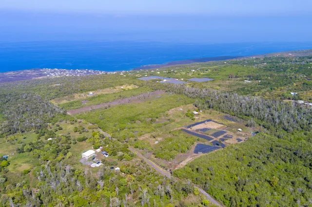 a view of a lake with a city