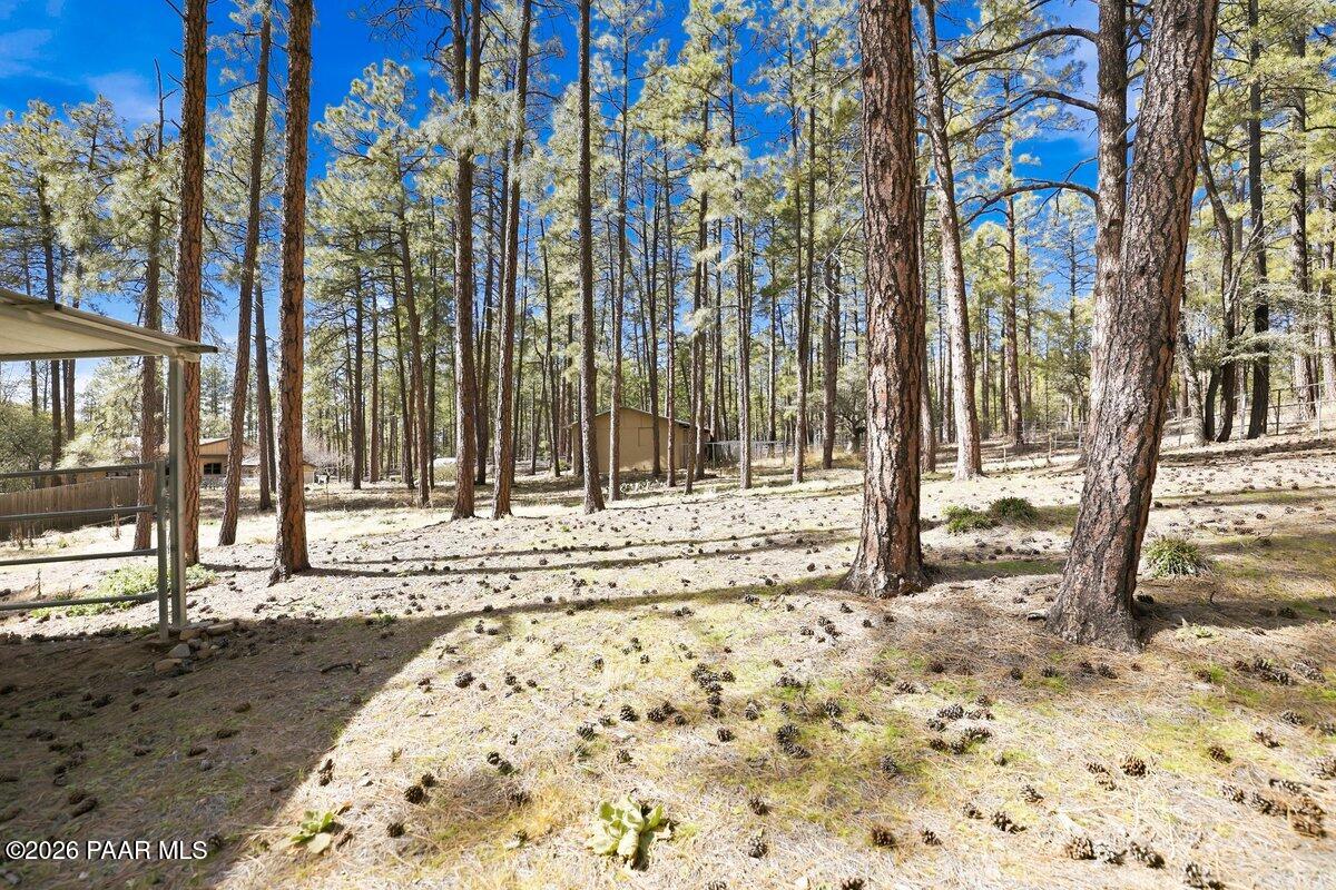 748 East Marapai Road Prescott, AZ 86303 - Photo 40 of 47 a view of a backyard of the house
