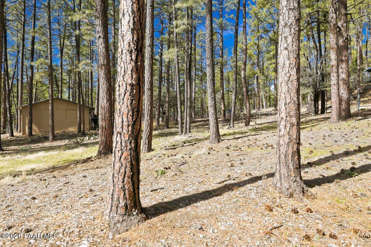 748 East Marapai Road Prescott, AZ 86303 - Photo 42 of 47 a view of a backyard of the house
