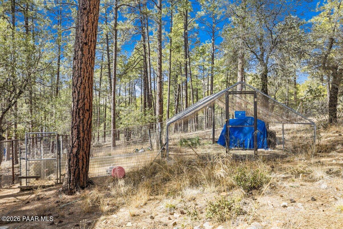 748 East Marapai Road Prescott, AZ 86303 - Photo 45 of 47 a view of two tall trees