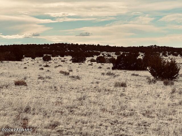 424- Deliverance Road Seligman, AZ 86337 - Photo 2 of 5 IMG_6760