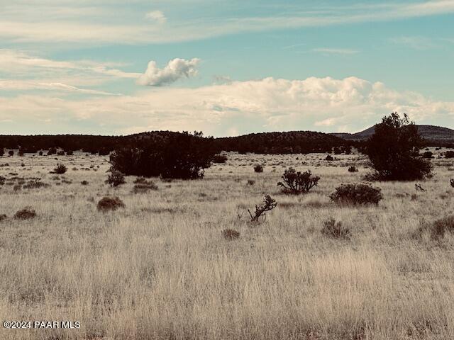424- Deliverance Road Seligman, AZ 86337 - Photo 3 of 5 IMG_6761