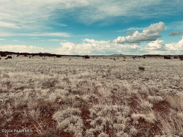 424- Deliverance Road Seligman, AZ 86337 - Photo 4 of 5 IMG_6746