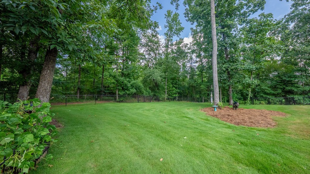 239 Autumn Trail Way Waverly Hall, GA 31831 - Photo 43 of 59 Gallery Image 43