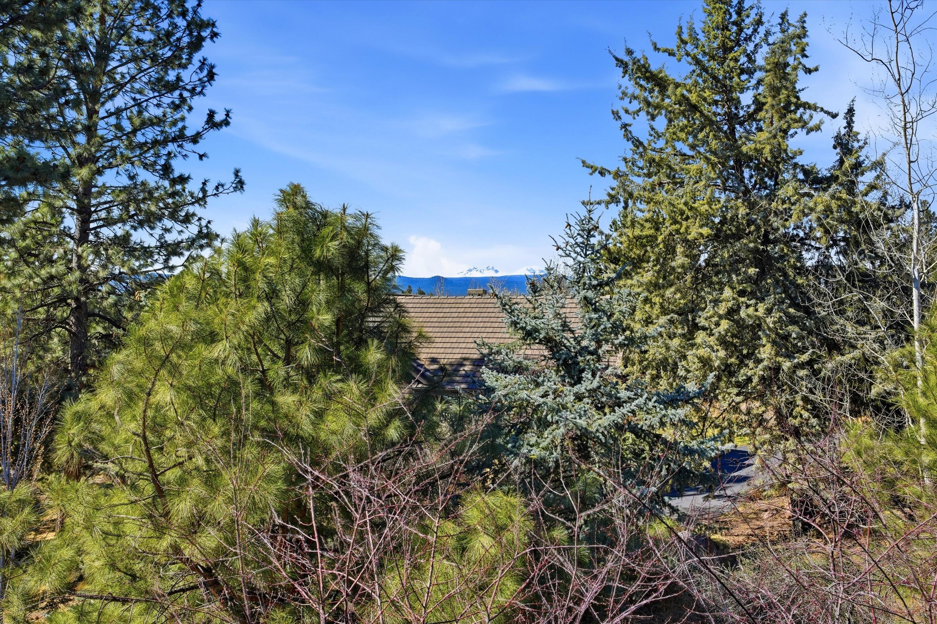 15 Southwest Quail Butte Place Bend, OR 97703 - Photo 52 of 55 a view of a lake with a tree