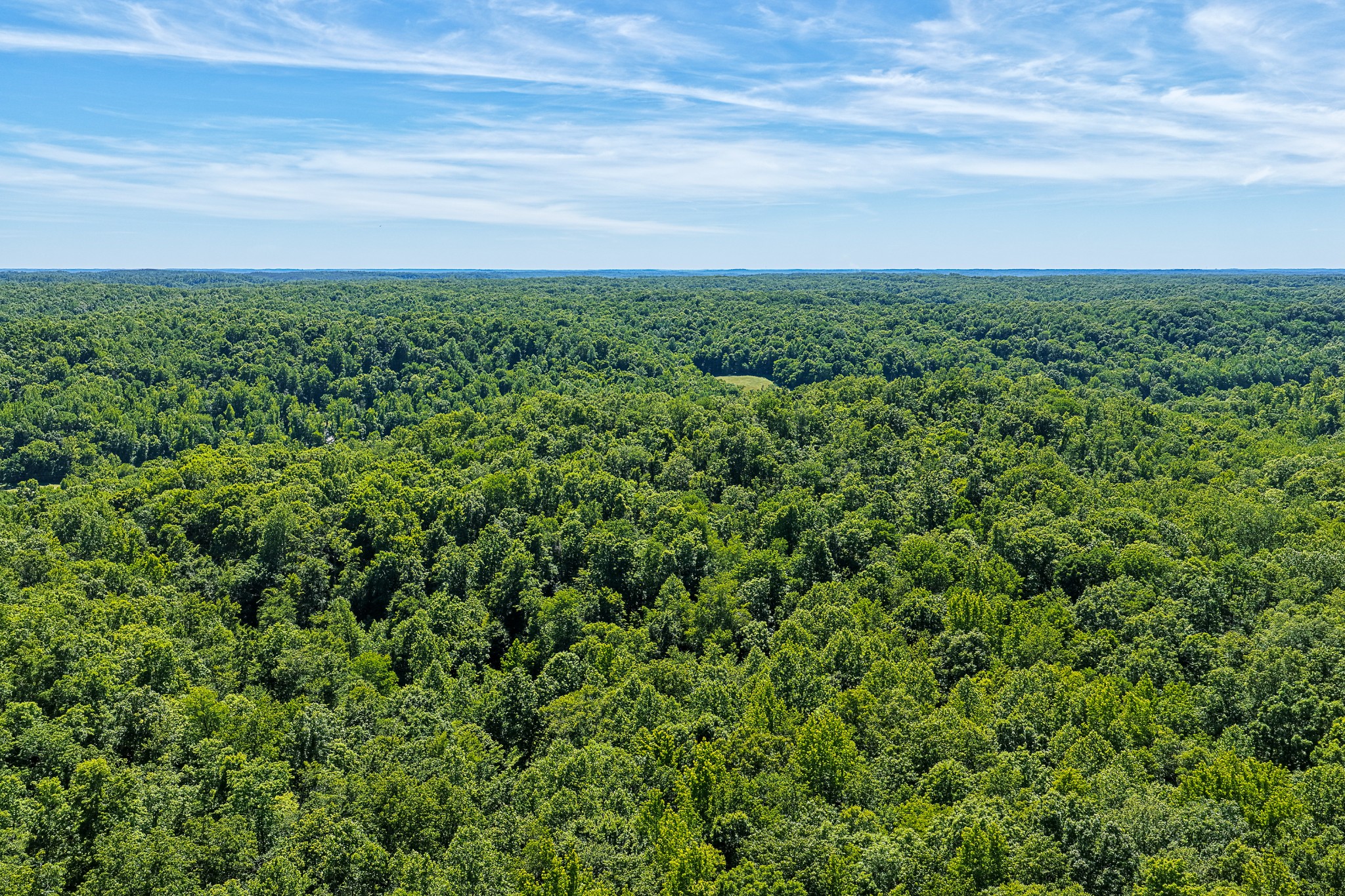 0 Mayberry Prong Road Linden, TN 37096 - Photo 24 of 24