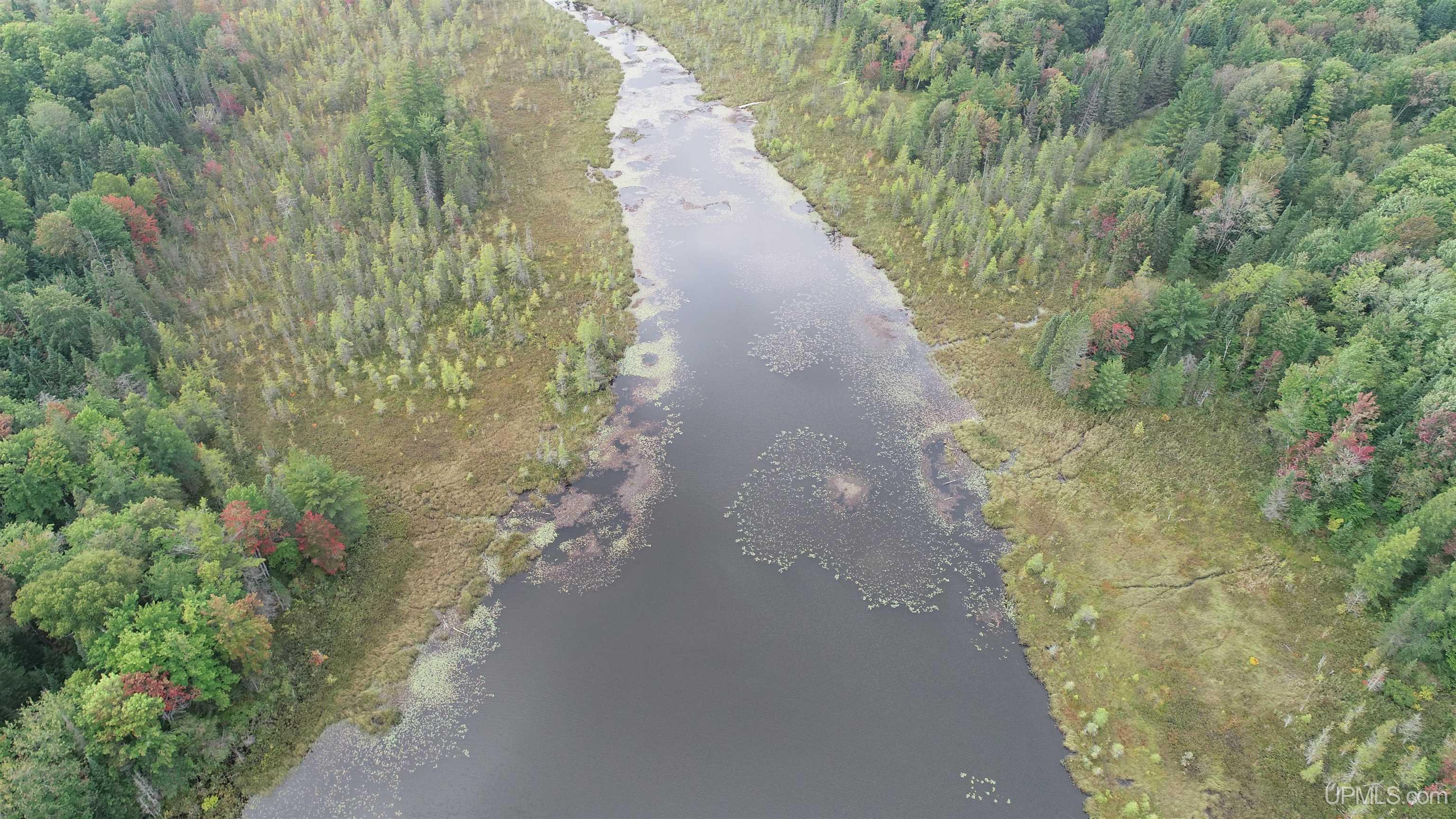 Tbd North Tbd N Powerline Road Germfask, MI 49836 - Photo 28 of 29