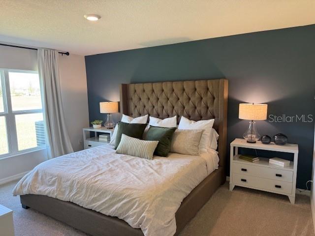 10972 Gentle Current Way Parrish, FL 34219 - Photo 5 of 29