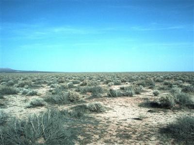 0 Off 395 Ridgecrest, CA 93555 - Photo 1 of 1 General view of Section 17
