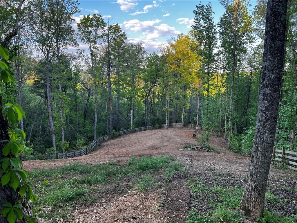 221 Muscadine Road Dahlonega, GA 30533 - Photo 45 of 69