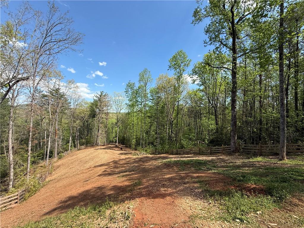 221 Muscadine Road Dahlonega, GA 30533 - Photo 46 of 69
