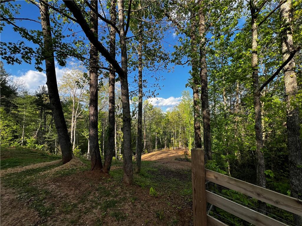 221 Muscadine Road Dahlonega, GA 30533 - Photo 47 of 69