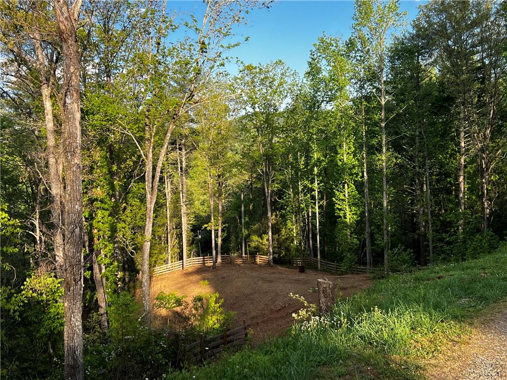 221 Muscadine Road Dahlonega, GA 30533 - Photo 48 of 69