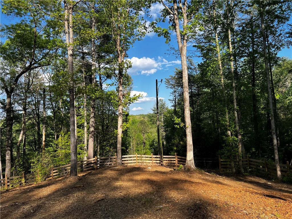 221 Muscadine Road Dahlonega, GA 30533 - Photo 49 of 69