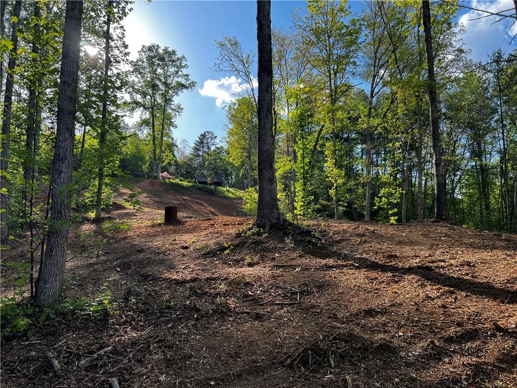 221 Muscadine Road Dahlonega, GA 30533 - Photo 51 of 69