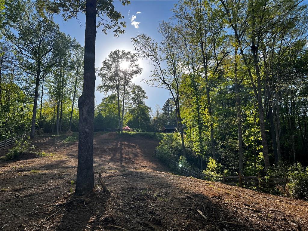 221 Muscadine Road Dahlonega, GA 30533 - Photo 52 of 69