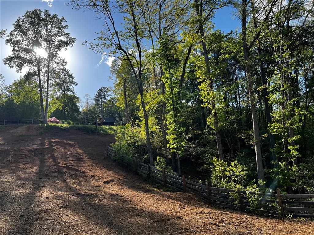 221 Muscadine Road Dahlonega, GA 30533 - Photo 53 of 69
