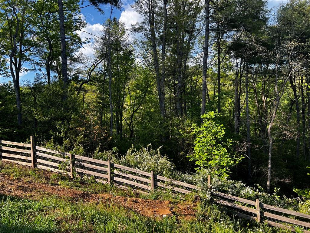221 Muscadine Road Dahlonega, GA 30533 - Photo 54 of 69