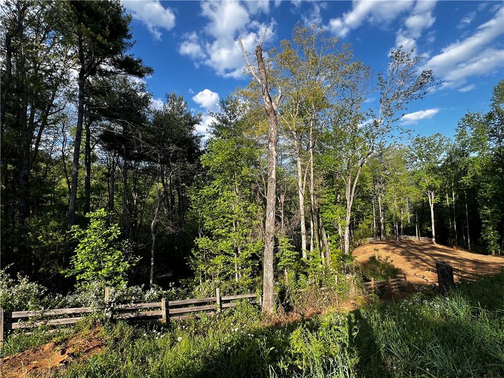 221 Muscadine Road Dahlonega, GA 30533 - Photo 55 of 69