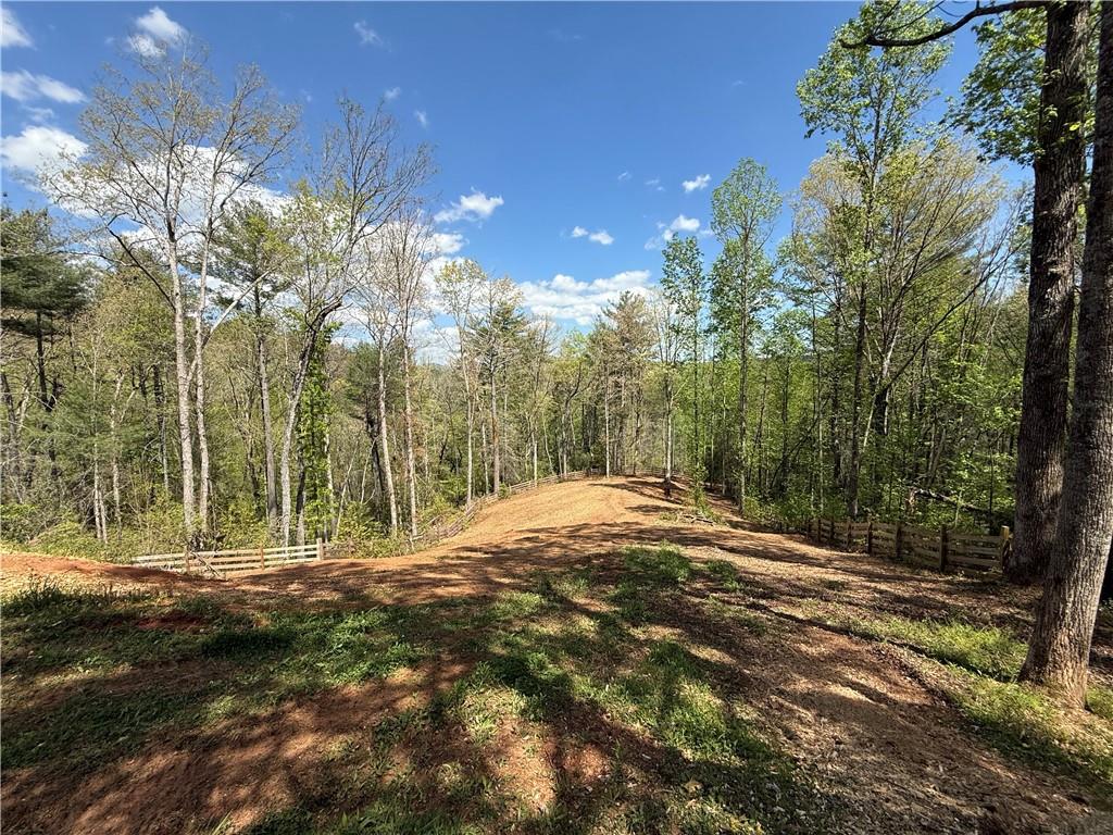 221 Muscadine Road Dahlonega, GA 30533 - Photo 56 of 69