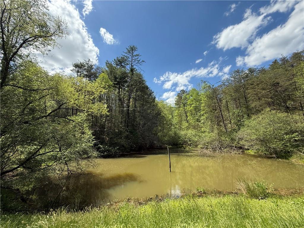 221 Muscadine Road Dahlonega, GA 30533 - Photo 57 of 69