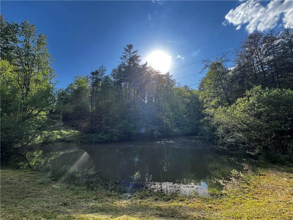 221 Muscadine Road Dahlonega, GA 30533 - Photo 58 of 69